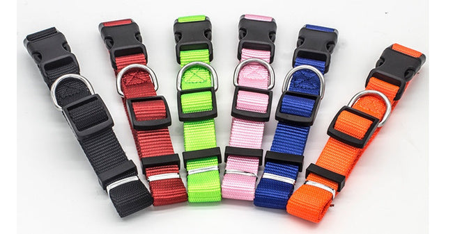 Neues Haustierhalsband