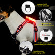 Luminous Strap Charging For Common Dogs Nylon Luminous Explosion-proof Hand Holding Rope
