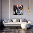 Gentle Gaze Boxer Dog Portrait Canvas