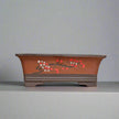 35cm Unglazed Bonsai Pot | Rectangle | 35cm x 26cm x 14cm | Brown