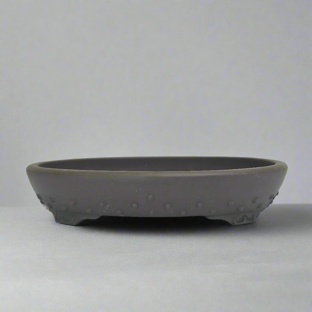 30cm Premium Unglazed Bonsai Pot | Oval | 30cm x 24cm x 6cm | Brown