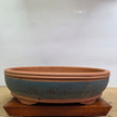 42cm Premium Unglazed Bonsai Pot | Oval | 42cm x 31cm x 11cm | Painted