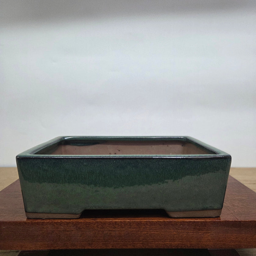 27cm Glazed Bonsai Pot | Rectangle | 27cm x 18cm x 9cm | Dark Green