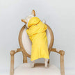 Waterproof pet raincoat