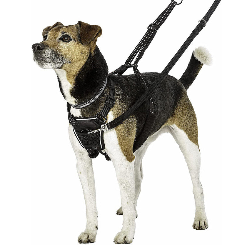 Nylon Hunde-Brustgeschirr atmungsaktiv reflektierend Anti-Ziehen