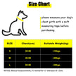 Dog's chest harness traction rope