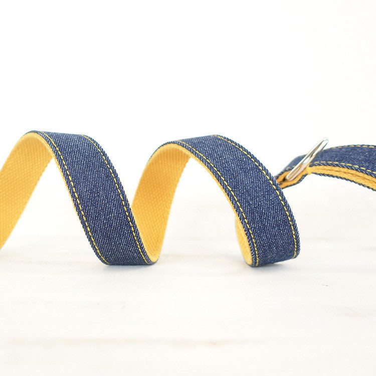 Personalized DIY pet leash