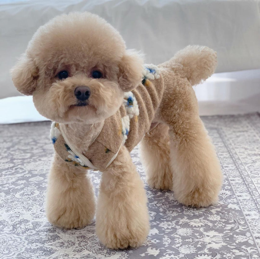 Chaleco de lana de cordero cálido con flores para perros, suéter cálido para mascotas