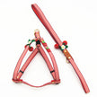 Knit strawberry pet traction set