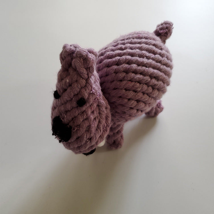 Pet molar toy