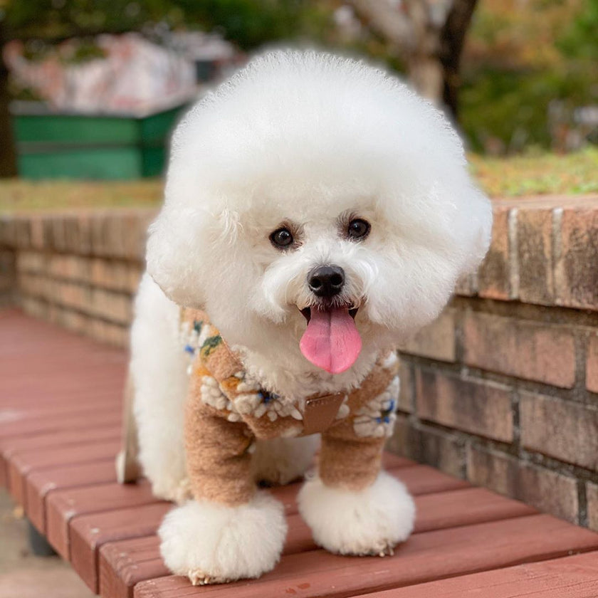 Chaleco de lana de cordero cálido con flores para perros, suéter cálido para mascotas