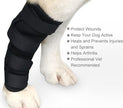 Dog Leggings Injury Prevention Licking