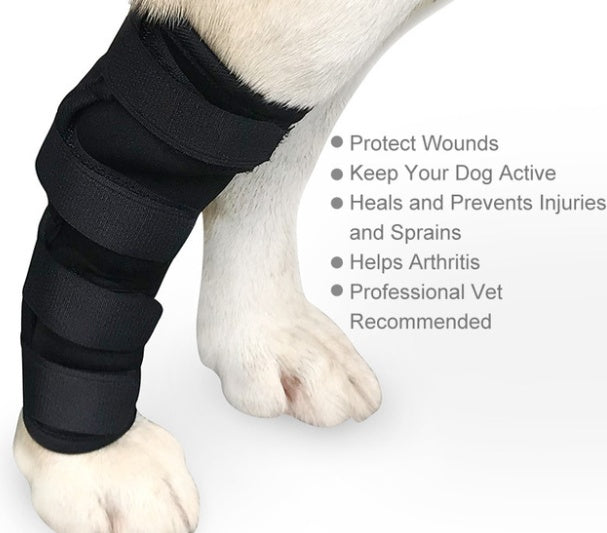 Dog Leggings Injury Prevention Licking