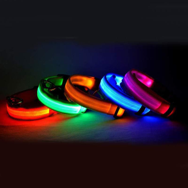Nylon LED Haustier Hund Leuchthalsband Nachtsicherheit Blinkend Leuchten im Dunkeln Hund Katze Leine Verstellbares Haustierzubehör