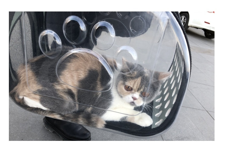 Tragbarer, transparenter Katzen-Hund-Rucksack, faltbar, vierseitig atmungsaktiv, Messenger-Katzen-Tragetasche