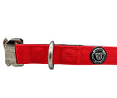 2.5cm Nylon BTactical™ Collar | Citrus Red