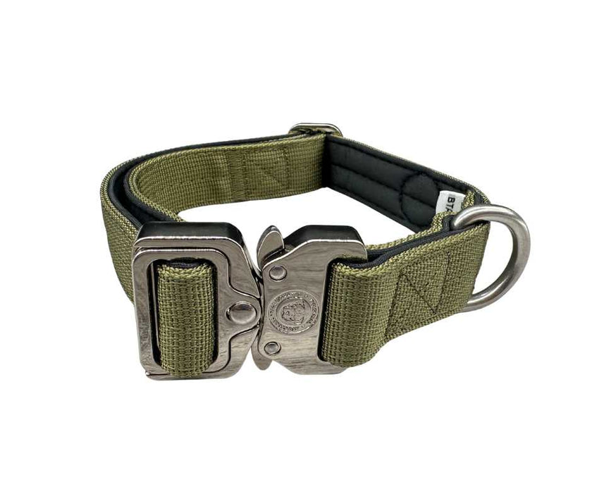 2,5cm Nylon BTactical™ Halsband | Khakigrün