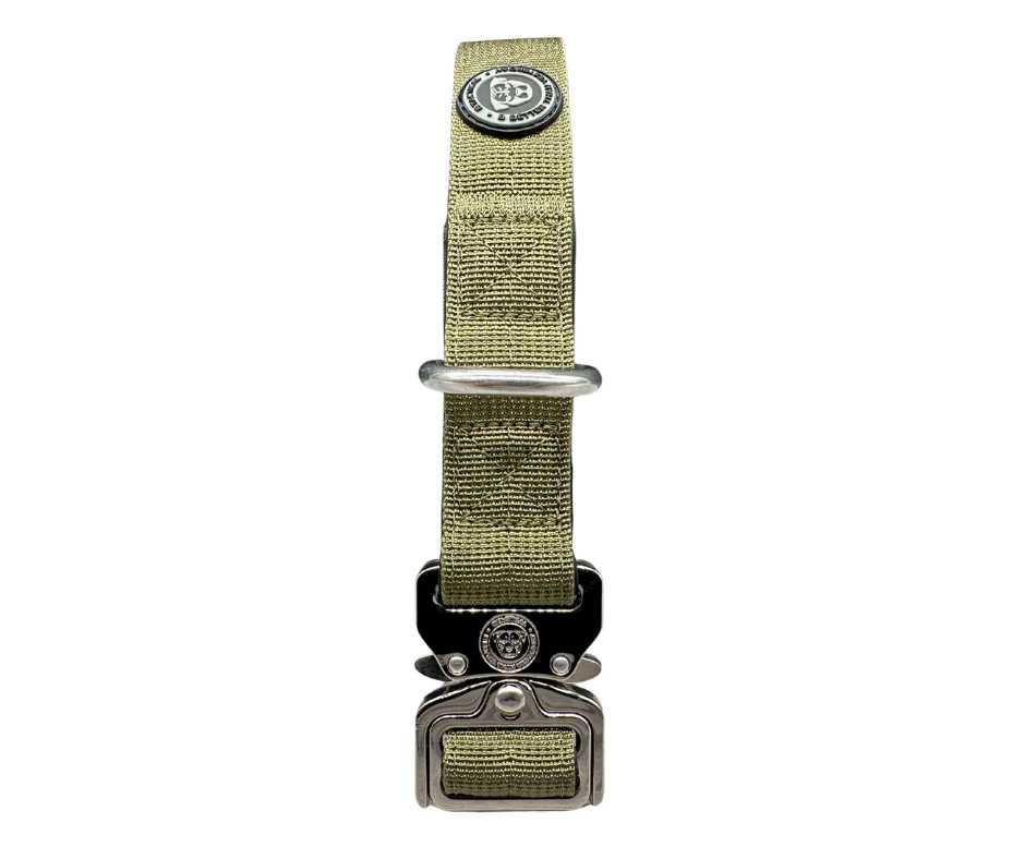 2,5cm Nylon BTactical™ Halsband | Khakigrün