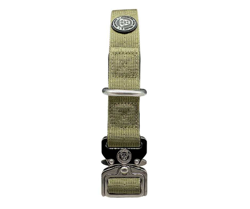 2,5cm Nylon BTactical™ Halsband | Khakigrün