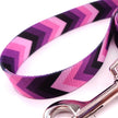 Color stripe digital printing gradient PET strap