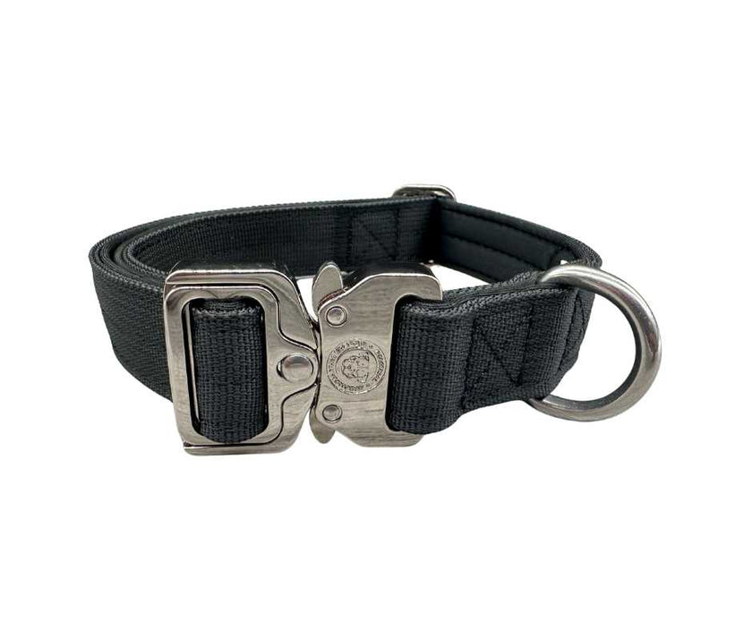 2,5cm Nylon BTactical™ Halsband | Mitternachtsschwarz
