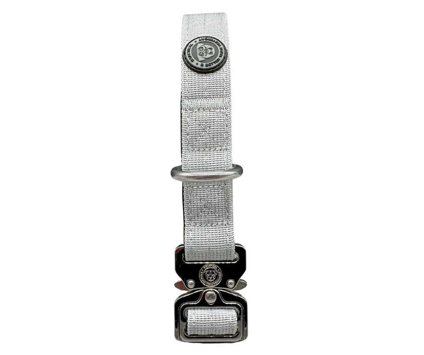 2.5cm Nylon BTactical™ Collar | Misty Grey