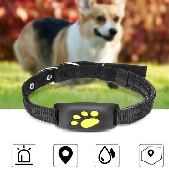 GPS-Haustiertracker