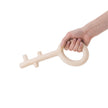 Dog molar toy