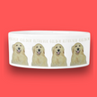 Golden Retrievers Gourmet-Napf – Weil Warten HART ist
