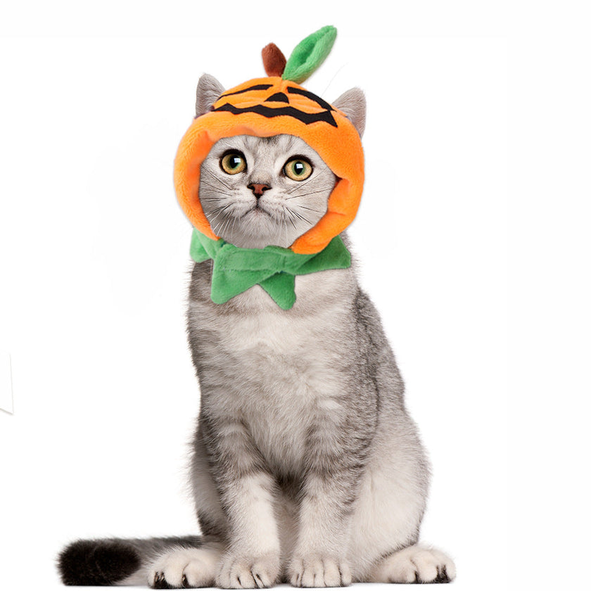 Pet Headgear Cute Dog Teddy Dress Up SUNFLOWER Cat Headdress Wig Cat Headgear Hat