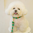 New Dog Pet Bear Cute Traction Soft And Durable Rope