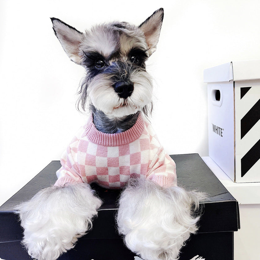 Pet Dog Short Girlish Checkerboard Sweater