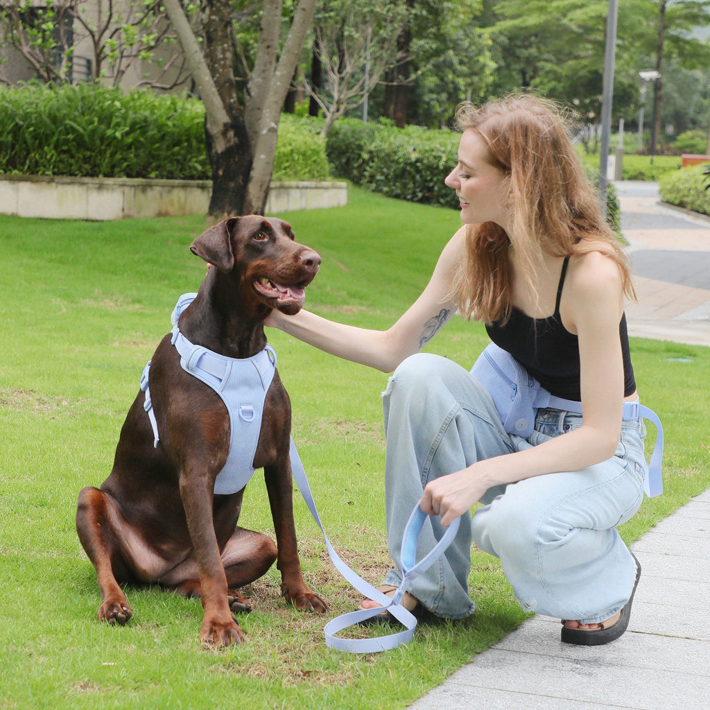 Hand Holding Rope Explosion-proof Chest Back Suit Widened Pet Collar Mini Schoolbag Dog Stool Bag