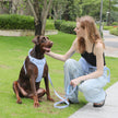 Hand Holding Rope Explosion-proof Chest Back Suit Widened Pet Collar Mini Schoolbag Dog Stool Bag