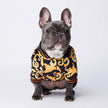 Hundemantel der Trendmarke 