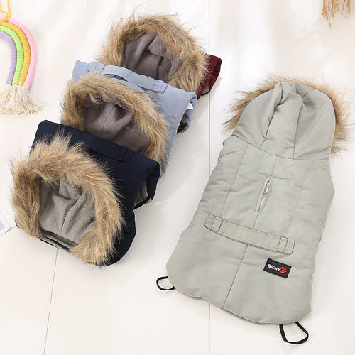 Autumn/winter wear for small dogs