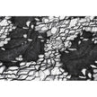 Dark in Love Morwenna Lace Gothic Maxi Dress in Black