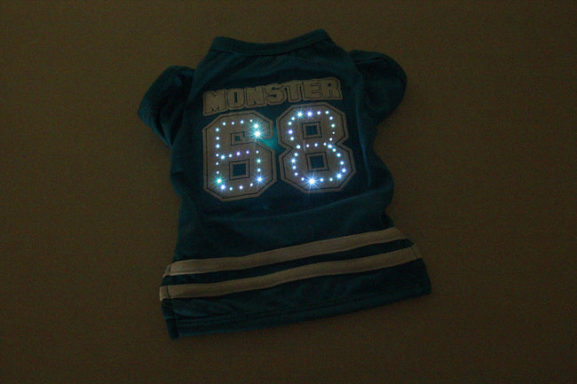 Ropa para mascotas con LED luminoso