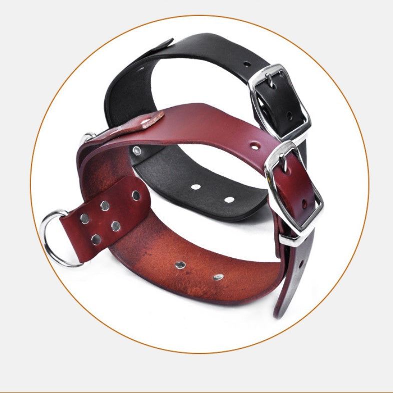 Large and medium sized dog collar adjustable pet collar