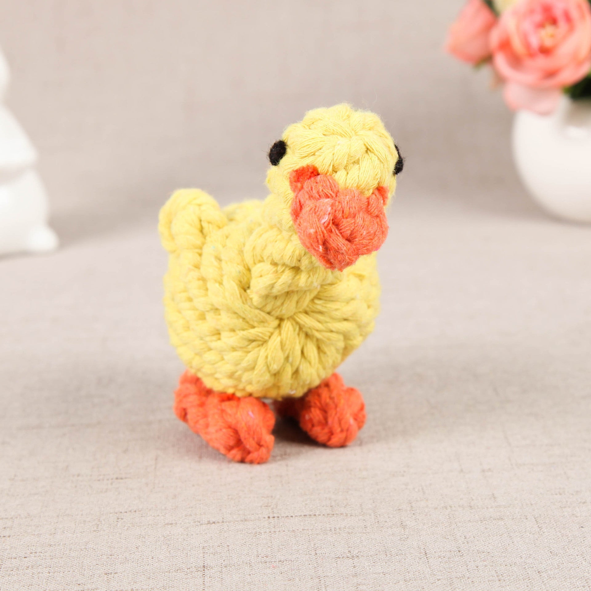 Pet molar toy