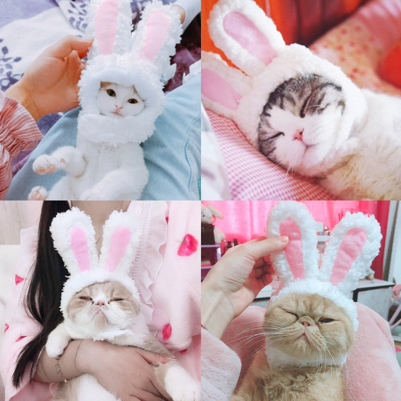 Transformed Hat Rabbit Ears Pet Headdress