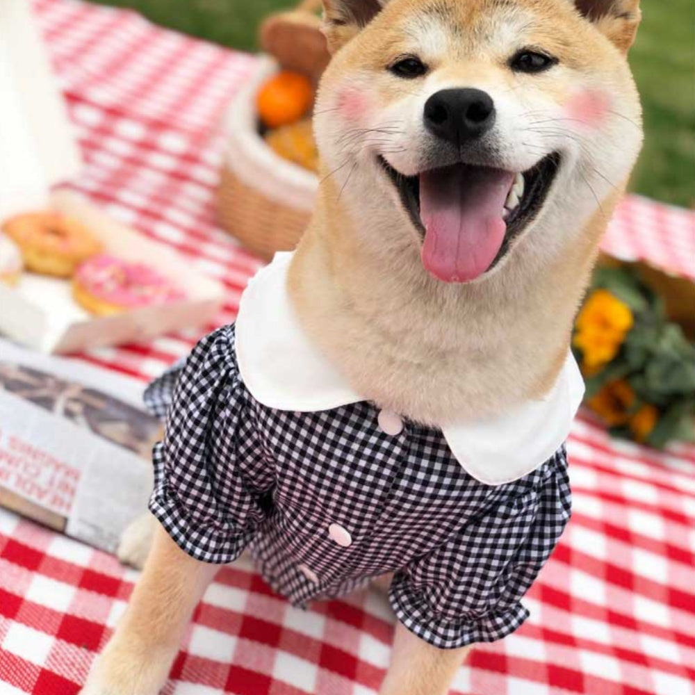 Shirt Tide Pet Clothes