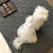 Korean White Sarong Dog Skirt