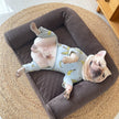 Hundesofa mit vollständig abnehmbarem Schwamm-Eierstütz-Eimer