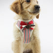Pet chest harness mesh breathable vest