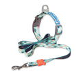 Touch dog it''s new heat transfer printing traction rope chest back collar dog rope walking dog artifact traction outdoor belt