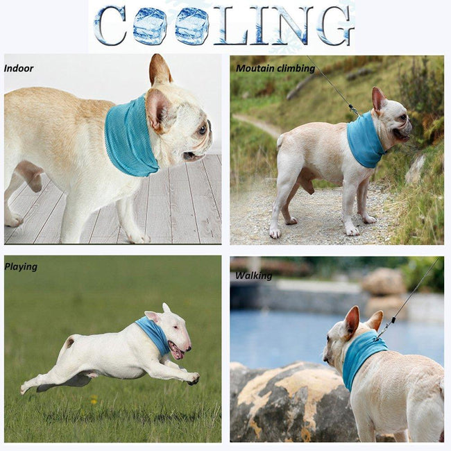 Suministros de Collar de Lucha contra la Ley Toalla Triangular Refrigerante Verano Golpe de Calor Gato Ganado Británico Mascota Bufanda Fresca