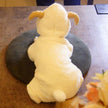 Dog Pet Parent Child Turned Into Goat Four Legged Clothes