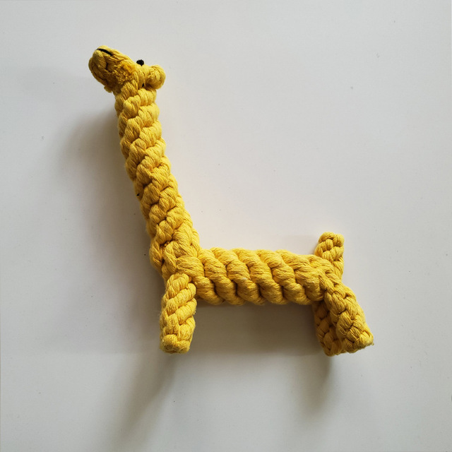 Pet molar toy