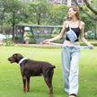 Hand Holding Rope Explosion-proof Chest Back Suit Widened Pet Collar Mini Schoolbag Dog Stool Bag